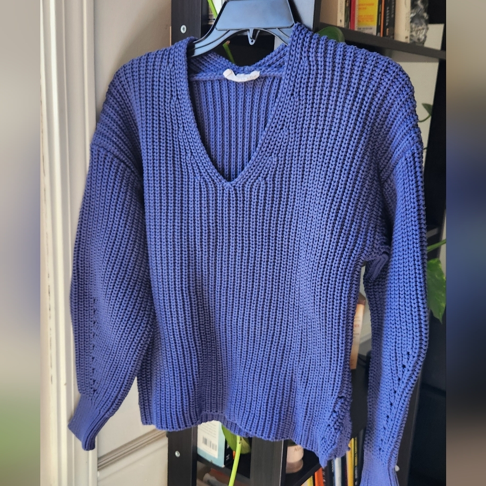 Everlane Blue V-Neck Chunky Knit Sweater